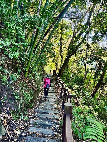 夏日清涼好去處「竹坑步道」訪 龍瀑布