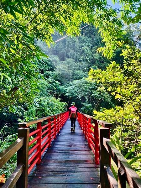 夏日清涼好去處「竹坑步道」訪 龍瀑布