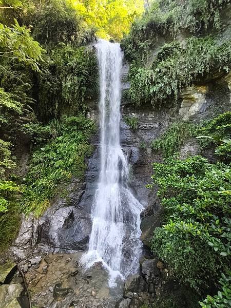 夏日清涼好去處「竹坑步道」訪 龍瀑布