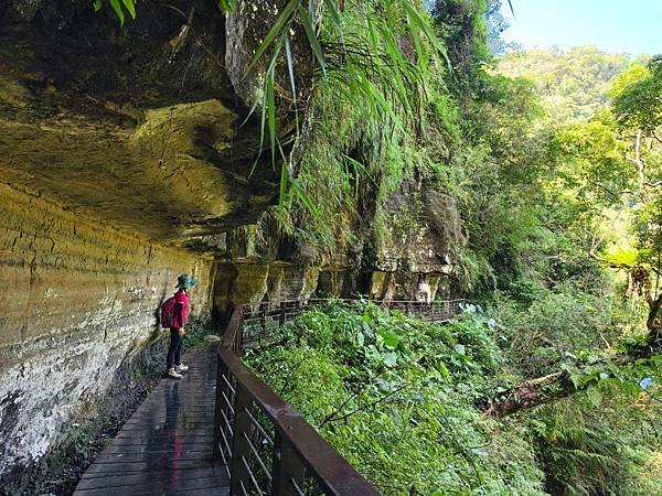 夏日清涼好去處「竹坑溪步道」訪 龍瀑布