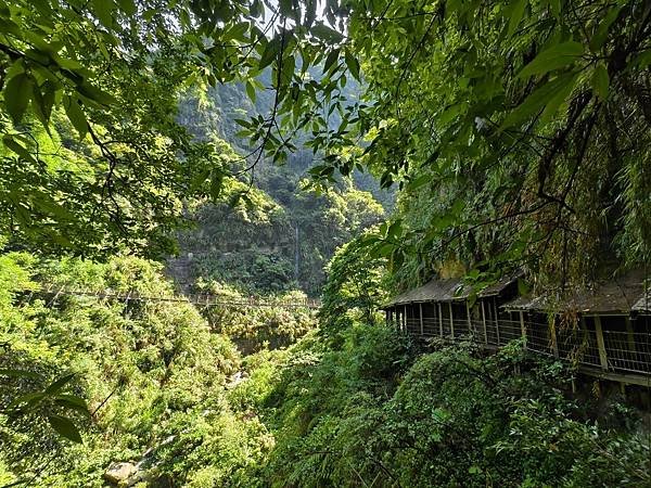 夏日清涼好去處「竹坑溪步道」訪 龍瀑布