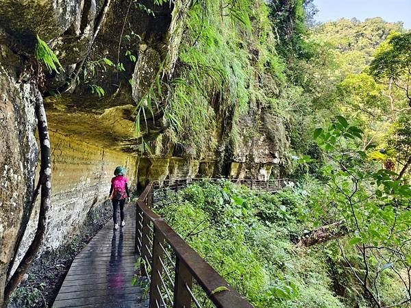 夏日清涼好去處「竹坑溪步道」訪 龍瀑布