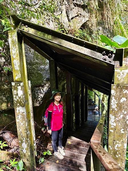 夏日清涼好去處「竹坑溪步道」訪 龍瀑布