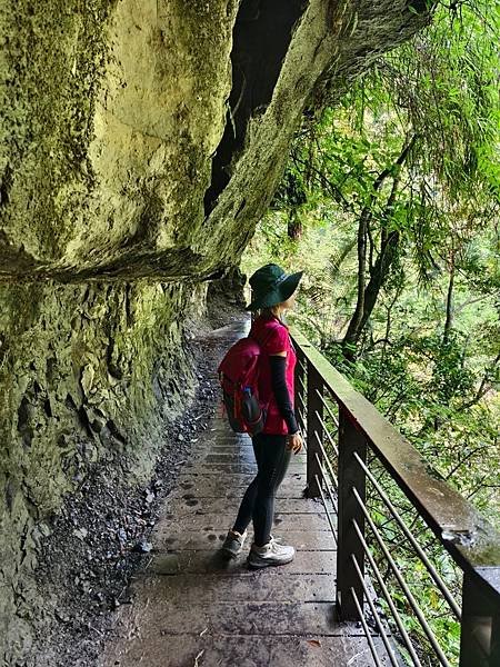 夏日清涼好去處「竹坑溪步道」訪 龍瀑布