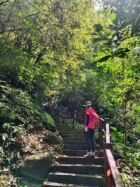 夏日清涼好去處「竹坑溪步道」訪 龍宮瀑布、生毛樹瀑布