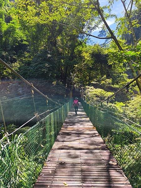 夏日清涼好去處「竹坑溪步道」訪 龍宮瀑布、生毛樹瀑布