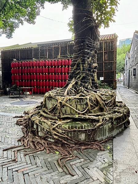 廣州～清幽的「聚龍古村」