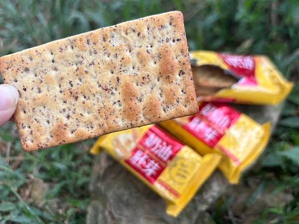 零食開箱分享餅乾推薦～評價優選【Kenji健司奶油胚芽餅】
