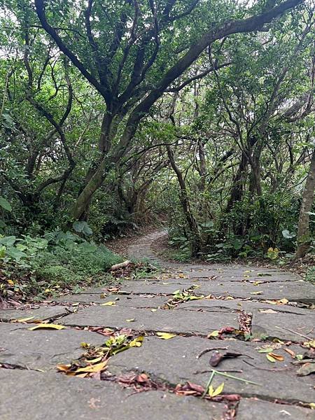 潮境公園找恐龍玩&amp;不見的象鼻岩海豚君上場