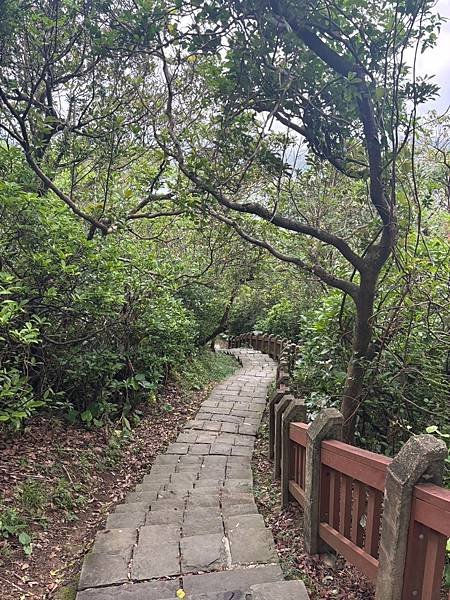 潮境公園找恐龍玩&amp;不見的象鼻岩海豚君上場