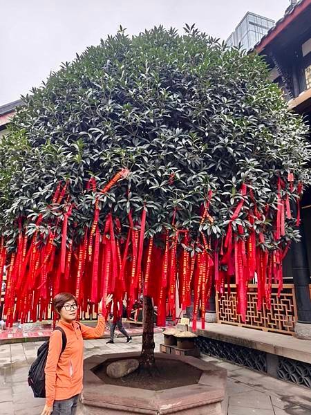 成都～人民公園、鶴鳴茶社、大慈寺、IFS國際金融中心、太古里