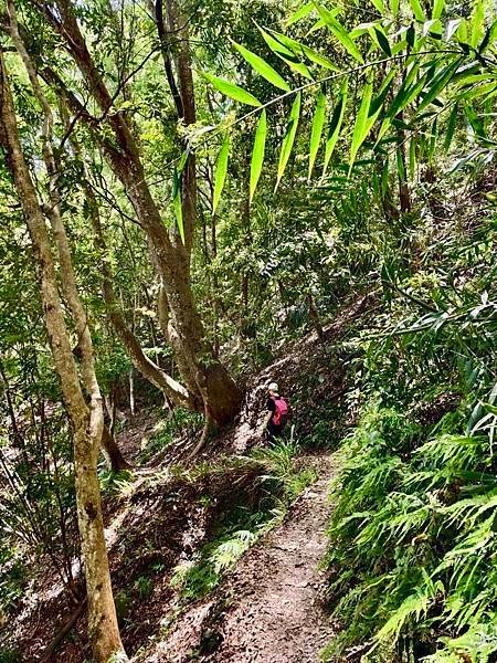 苗栗～虎山