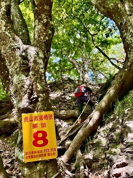 苗栗～中級山界的大霸尖山『虎山』、「諾亞山城」露營區