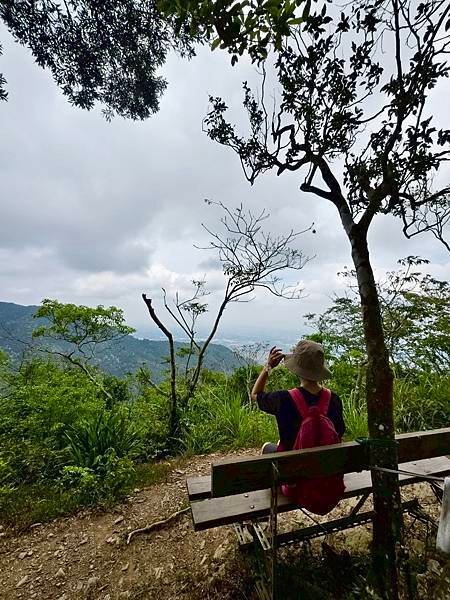 白賓山｜桐花趣