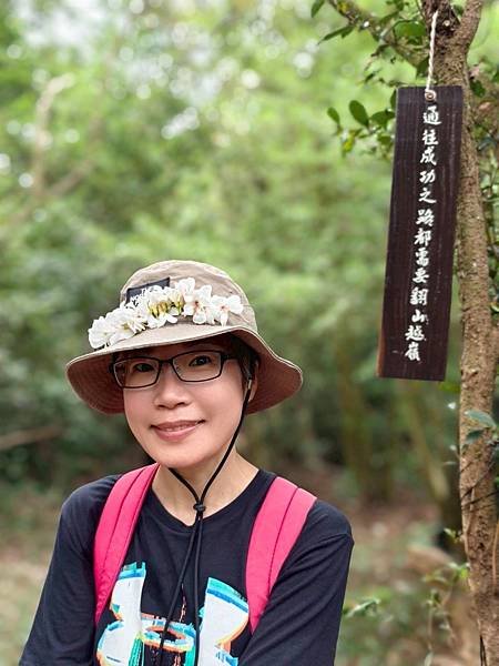 白賓山｜桐花趣