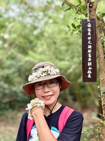 白賓山｜桐花趣