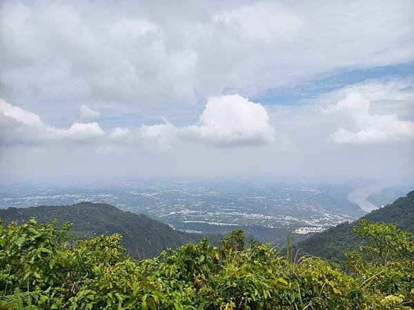 白賓山｜桐花趣
