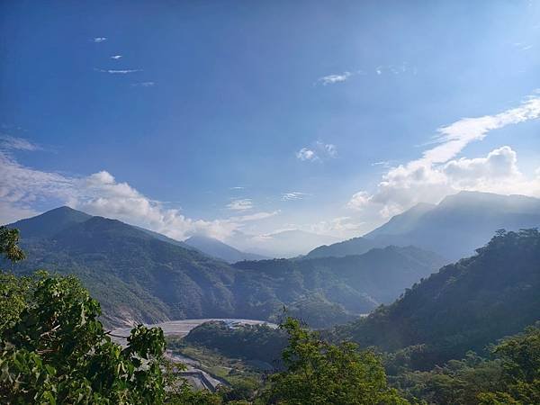 白賓山｜桐花趣