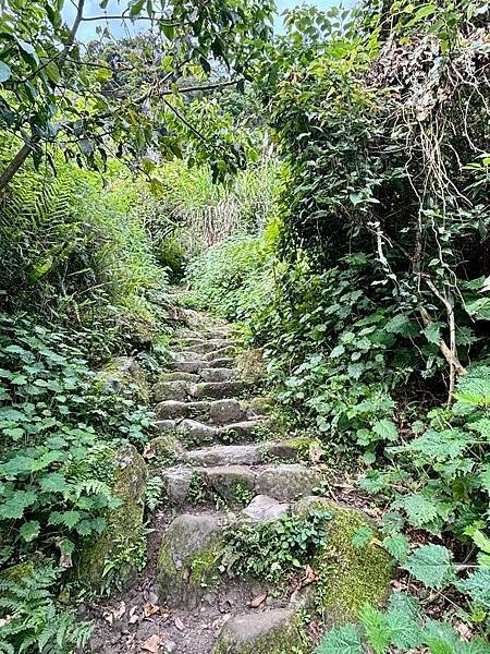苗栗～馬拉邦山
