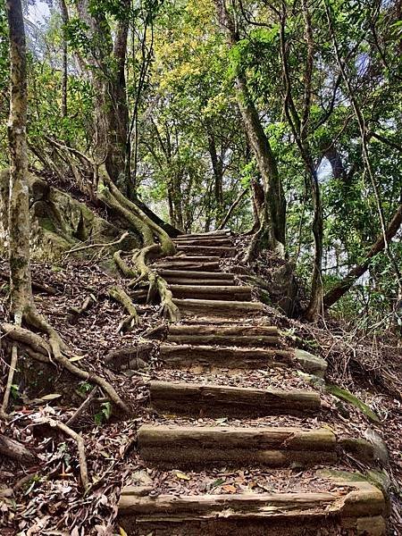 苗栗～馬拉邦山