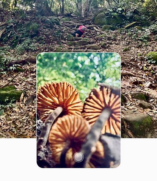 苗栗～馬拉邦山