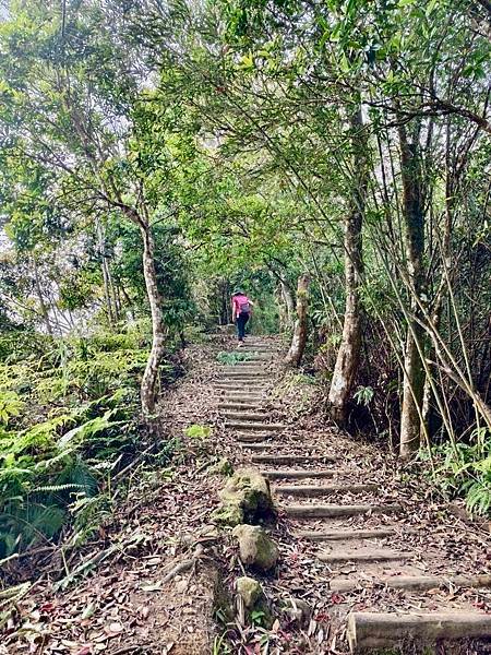 苗栗～馬拉邦山