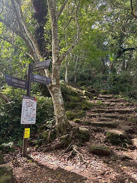 苗栗～馬拉邦山