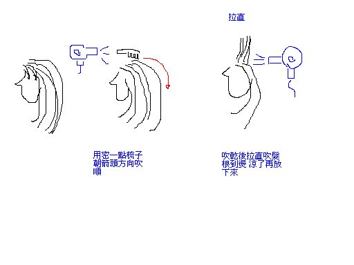 頭頂