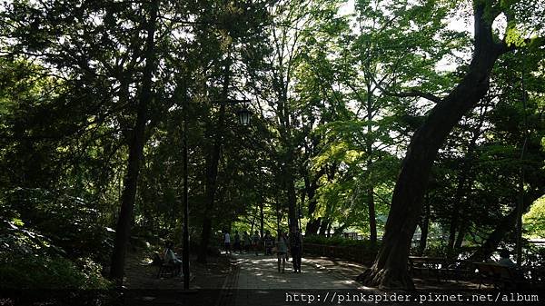 P1050548