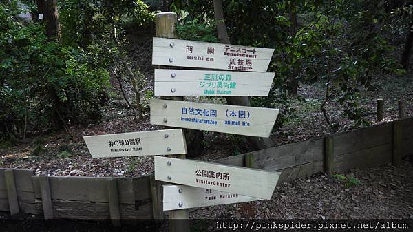 P1050553