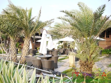 20120718-4.JPG