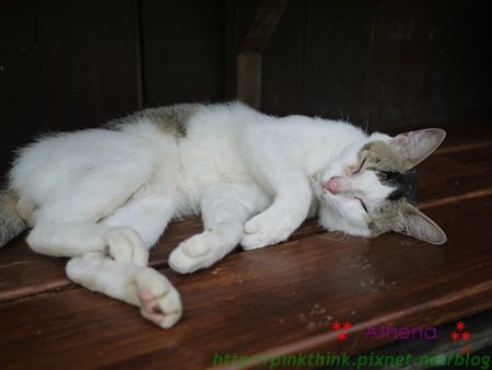 20120718-25.JPG