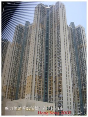 05.JPG
