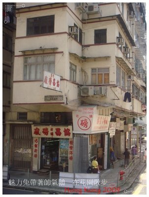 06.JPG