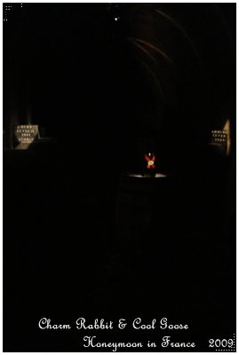 20090505-047.JPG
