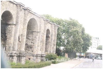 20090505-058.JPG