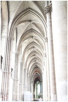 20090505-074.JPG