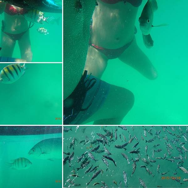 pier fish.jpg