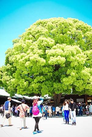 IMG_0581.jpg