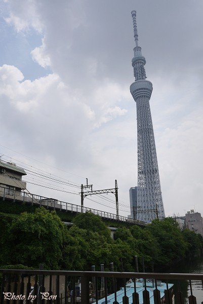 P1030385