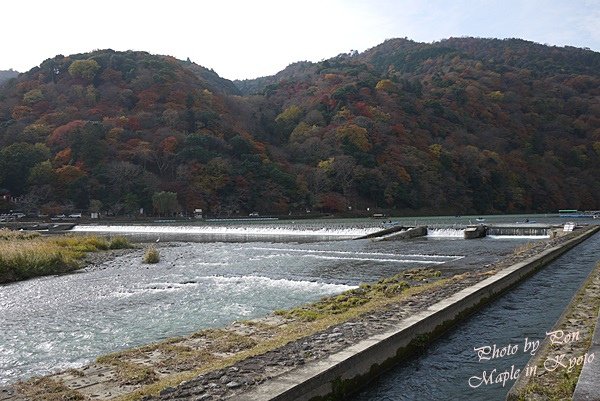 P1040112.JPG