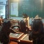 DSC01157.JPG