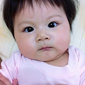 IMG_3713.jpg