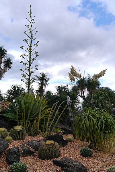 P1500128.JPG