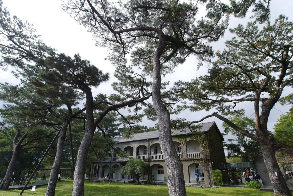P1700166.JPG