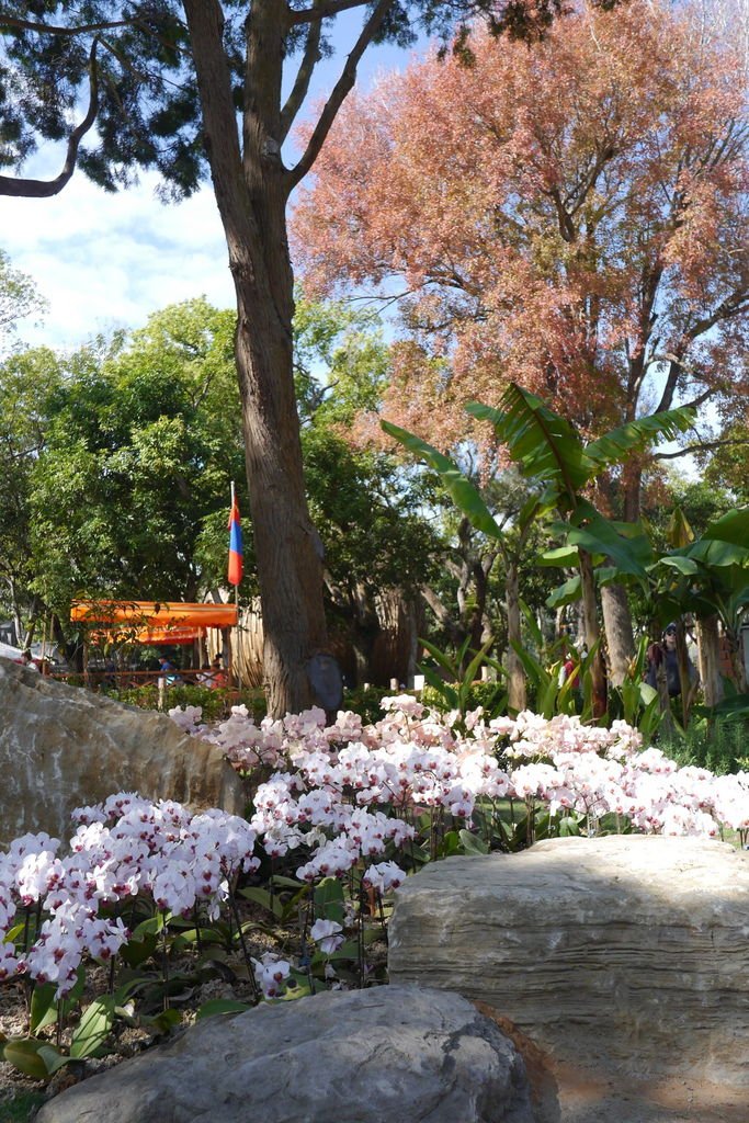 P1790274.JPG