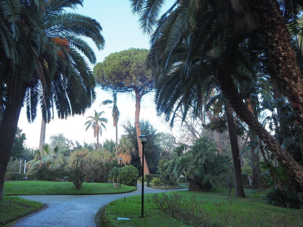 P2191567.JPG