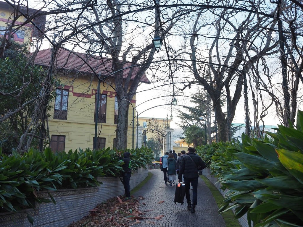 P2191570.JPG