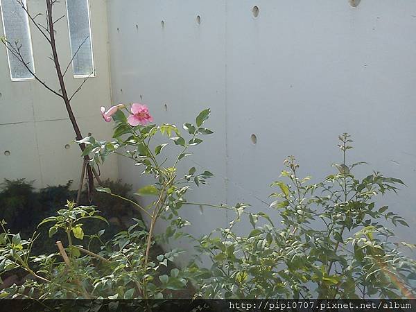 DSC03494