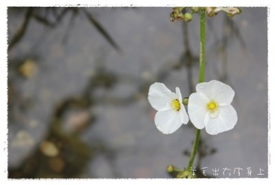 IMG_9942.JPG
